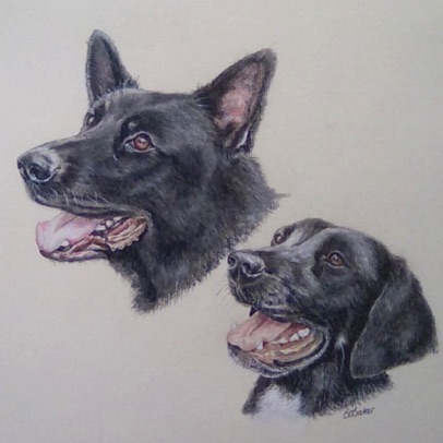 Shadow and Poppy
